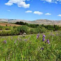 Sarız Kuşçu Köyü Resimleri 5