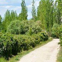 Sarız Kuşçu Köyü Resimleri 6