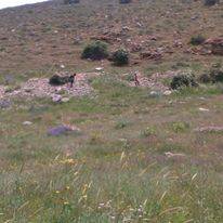 Sarız Kuşçu Köyü Resimleri 8