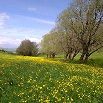 Sarız Oğlakkaya Köyü Resimleri 6