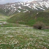 Sarız Oğlakkaya Köyü Resimleri 7