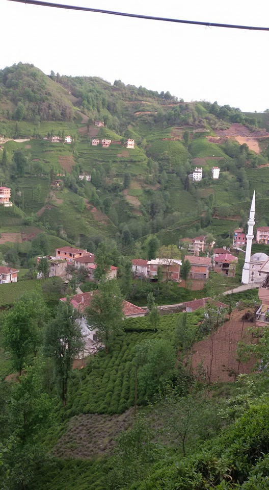Kalkandere Yeniköy Köyü Resimleri 1