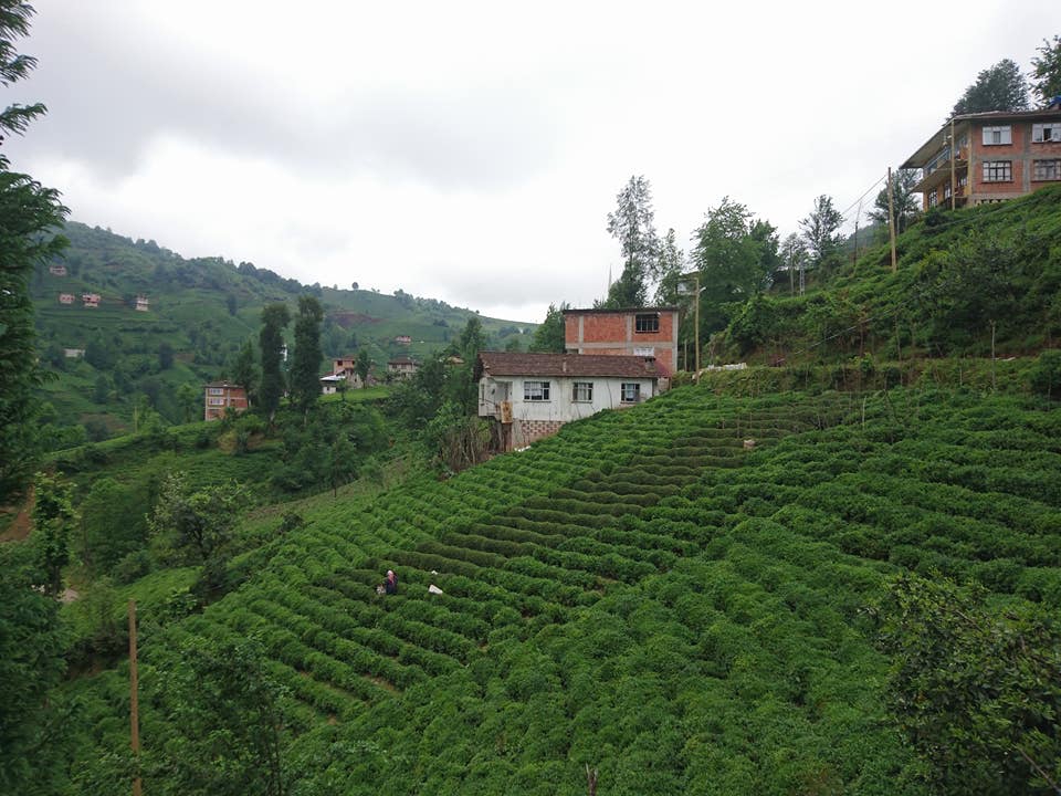 Kalkandere Yeniköy Köyü Resimleri 10