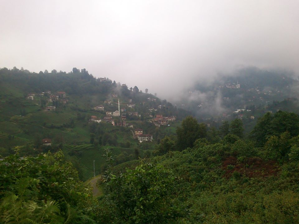 Kalkandere Yeniköy Köyü Resimleri 4