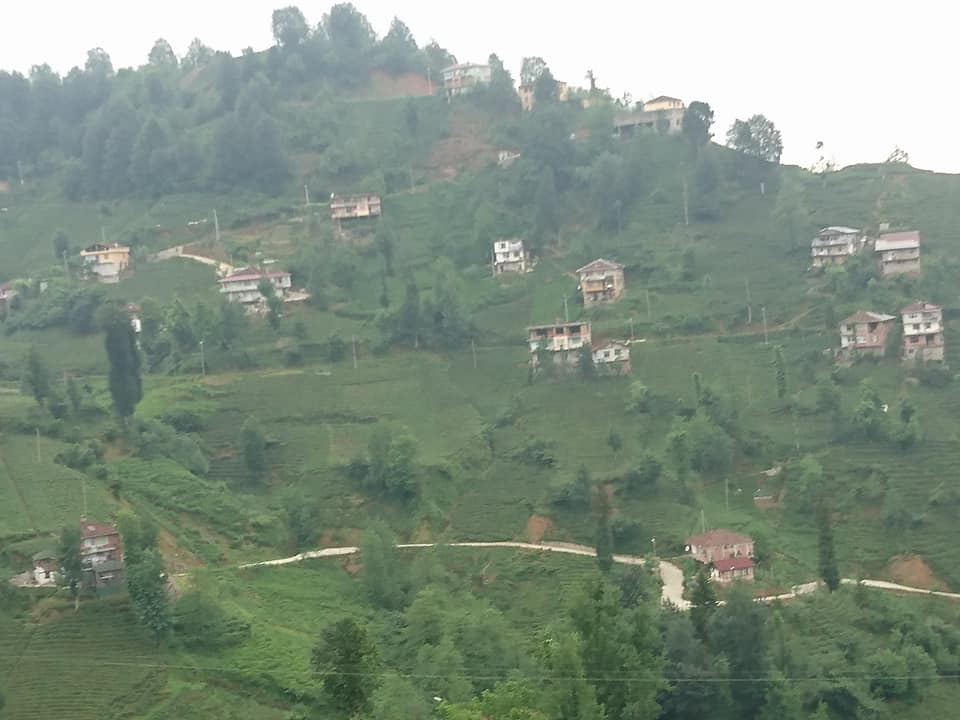 Kalkandere Yeniköy Köyü Resimleri 6