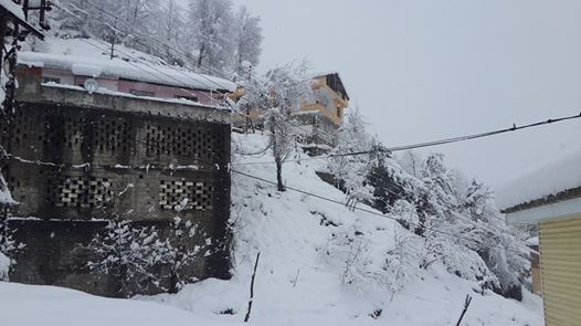 Kalkandere Yeniköy Köyü Resimleri 7
