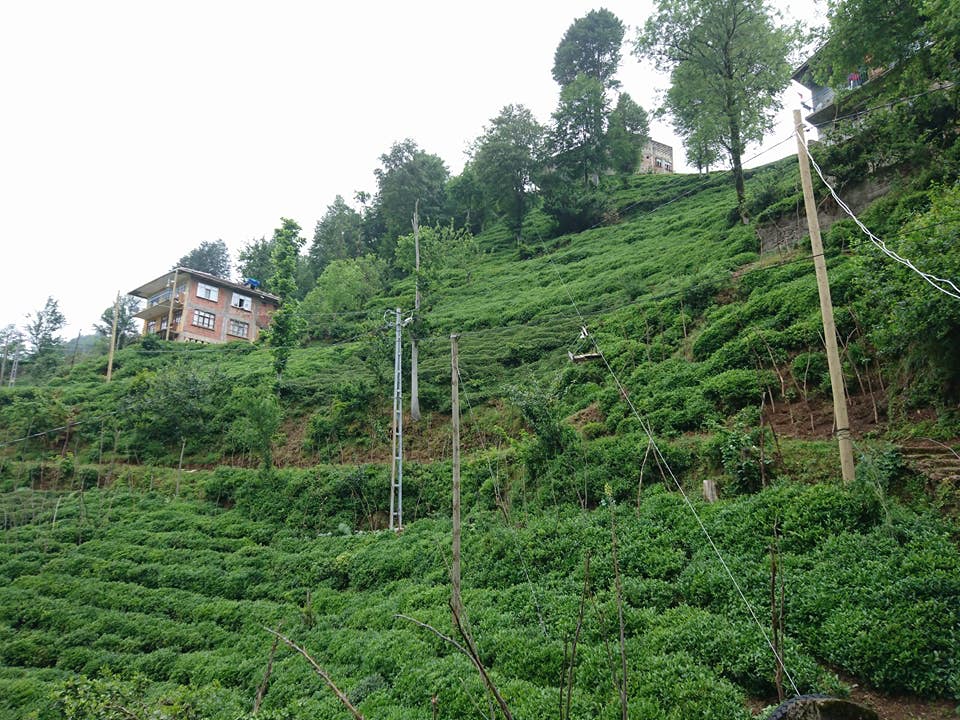 Kalkandere Yeniköy Köyü Resimleri 8