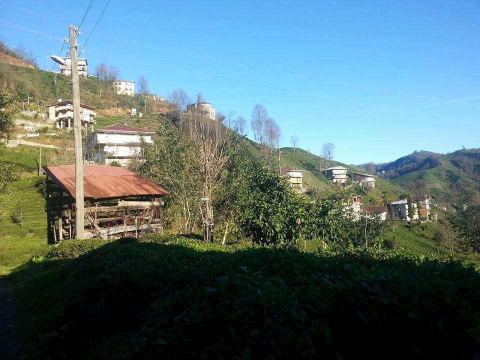 Kalkandere Yeniköy Köyü Resimleri 9