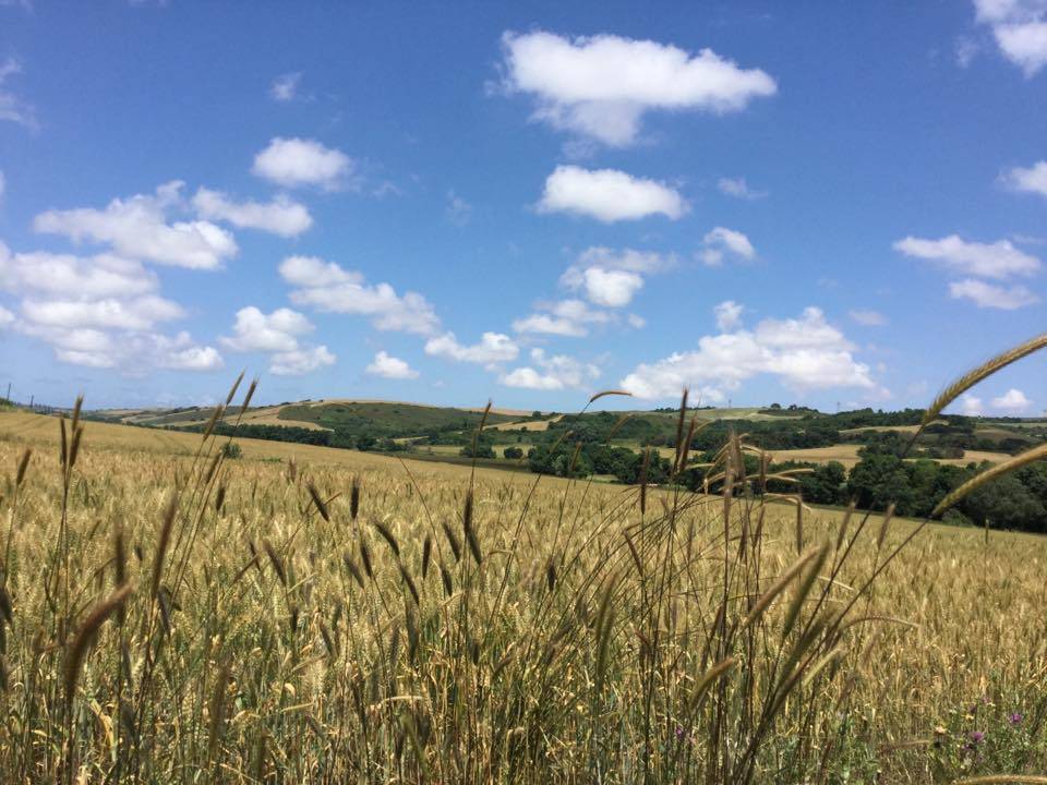 Arnavutköy Baklalı Köyü Resimleri 6