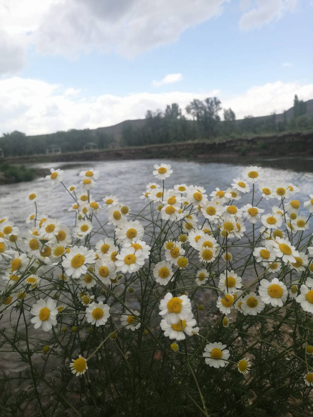 Tomarza Akmezar Köyü Resimleri 6