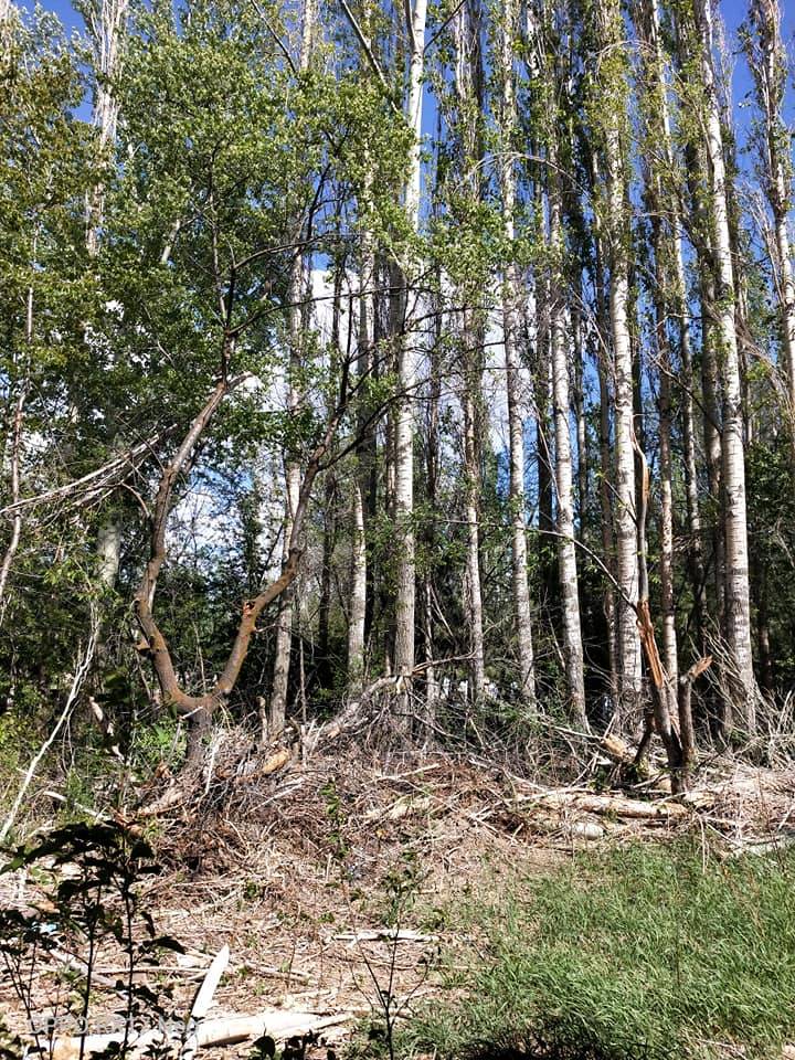 Tomarza Akmezar Köyü Resimleri 7