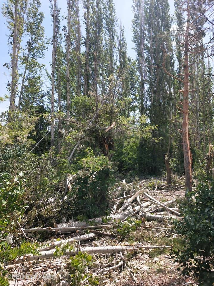 Tomarza Akmezar Köyü Resimleri 9