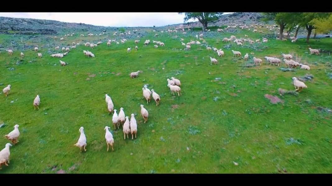 Tomarza Akdere  Köyü Resimleri 5