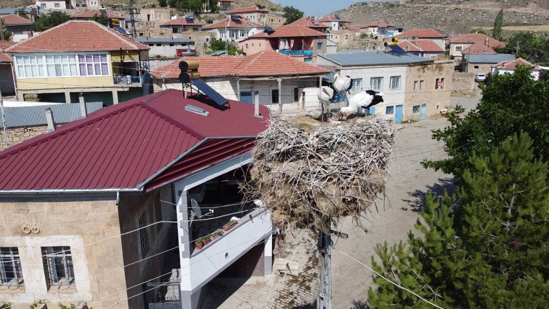 Tomarza Avşarsöğütlü Köyü Resimleri 3