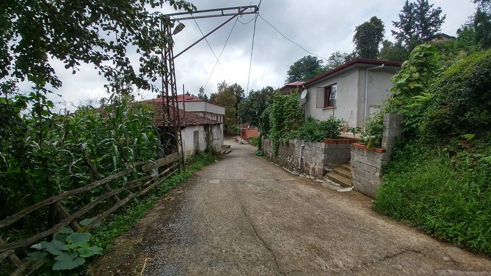 Kalkandere Yumurtatepe Köyü Resimleri 2