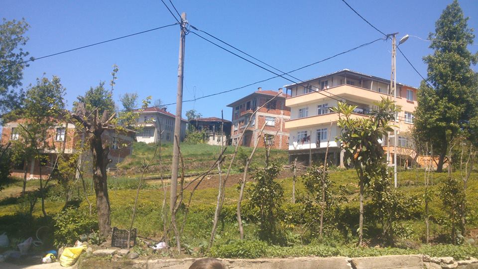 Kalkandere Yumurtatepe Köyü Resimleri 8