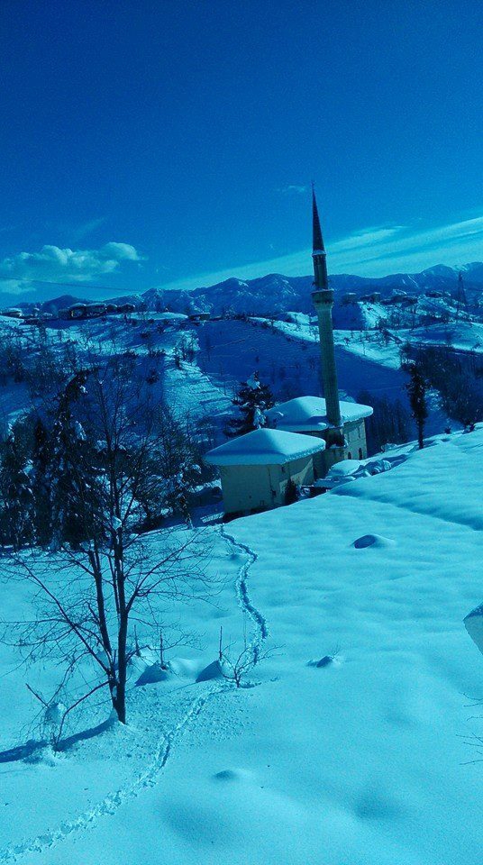 Kalkandere Yumurtatepe Köyü Resimleri 9