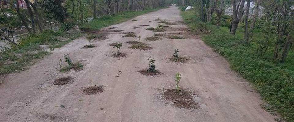 Tomarza Bektaş   Köyü Resimleri 1