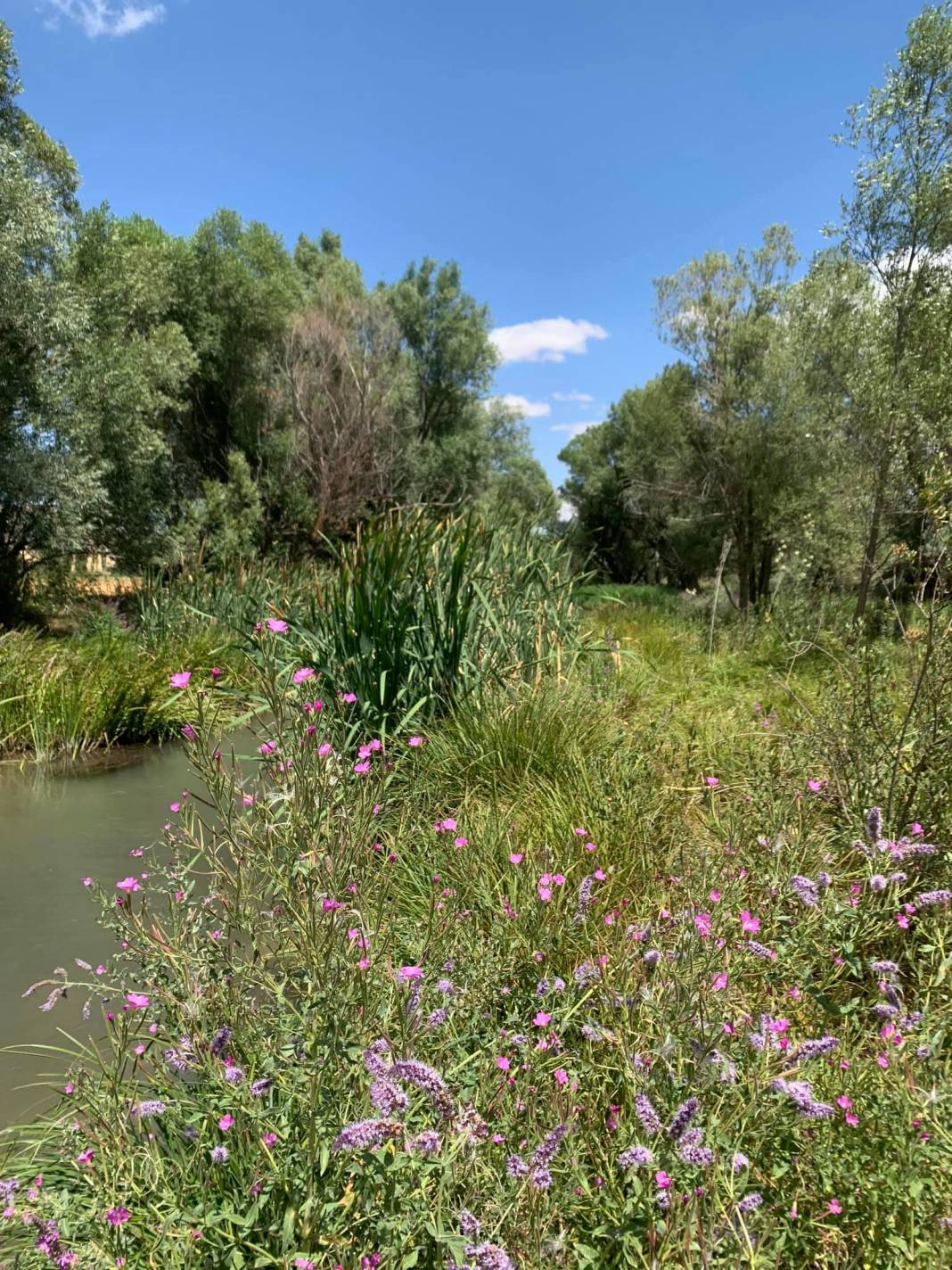 Tomarza Bostanlık Köyü Resimleri 8