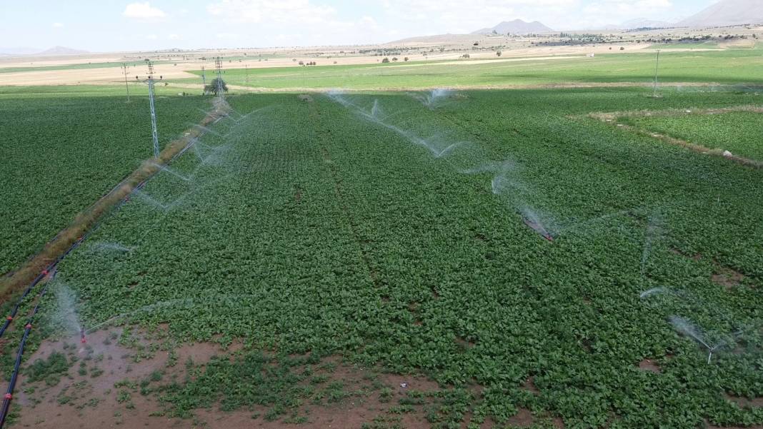 Tomarza Culha Köyü Resimleri 7