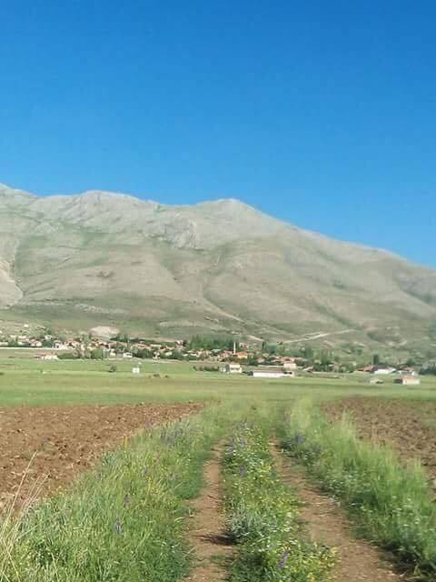 Tomarza Çanakpınar   Köyü Resimleri 3