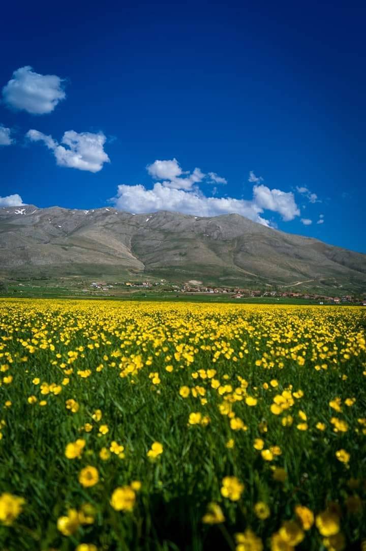 Tomarza Çanakpınar   Köyü Resimleri 6