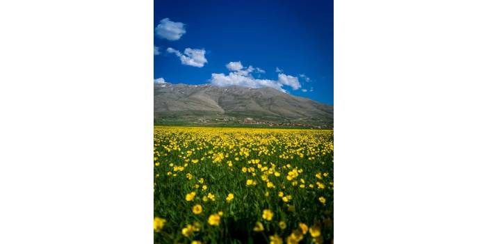 Tomarza Çanakpınar   Köyü Resimleri