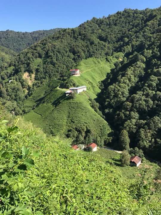 Pazar Akbucak Köyü Resimleri 11