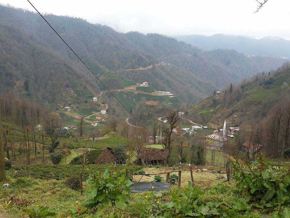 Pazar Akbucak Köyü Resimleri 2