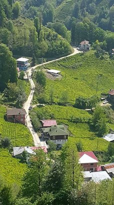 Pazar Akbucak Köyü Resimleri 3