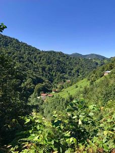 Pazar Akbucak Köyü Resimleri 5