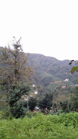 Pazar Akbucak Köyü Resimleri 6