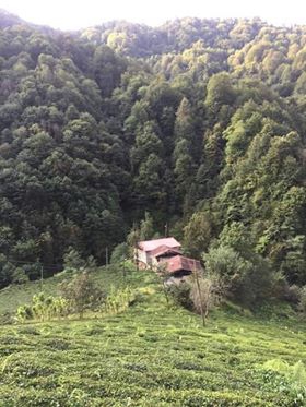 Pazar Akbucak Köyü Resimleri 8