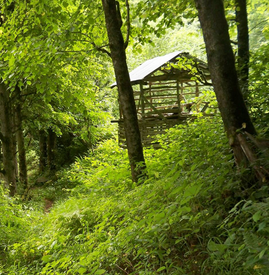 Pazar Akbucak Köyü Resimleri 9