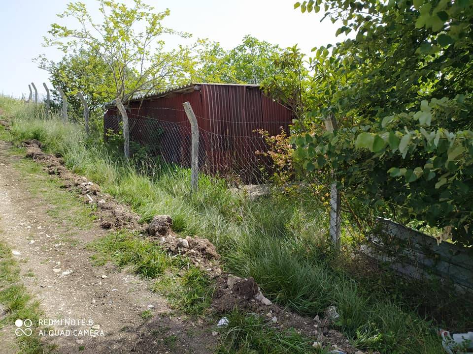 Arnavutköy Boyalık Köyü Resimleri 4