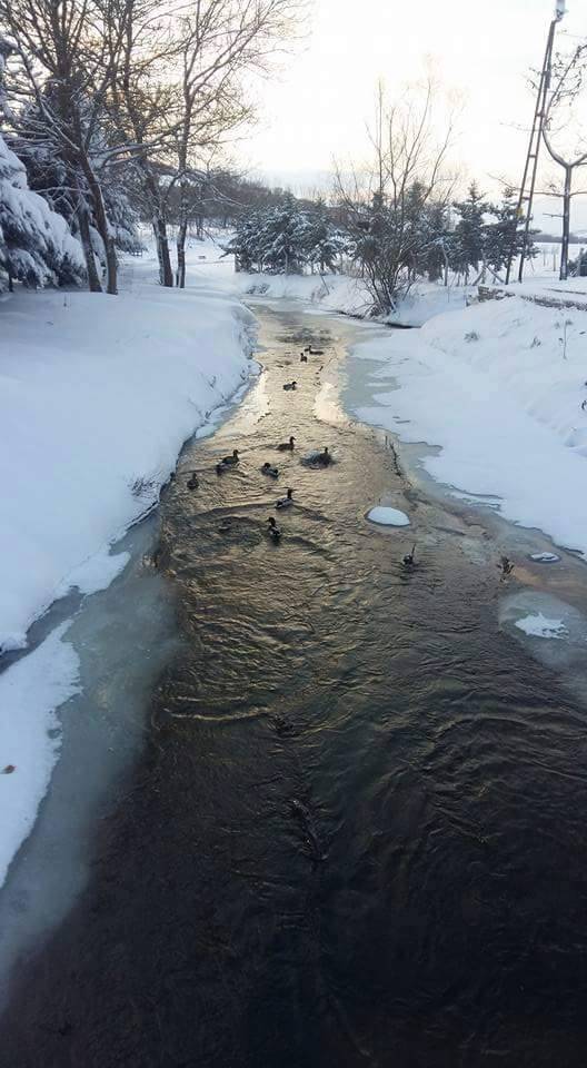 Arnavutköy Boyalık Köyü Resimleri 5