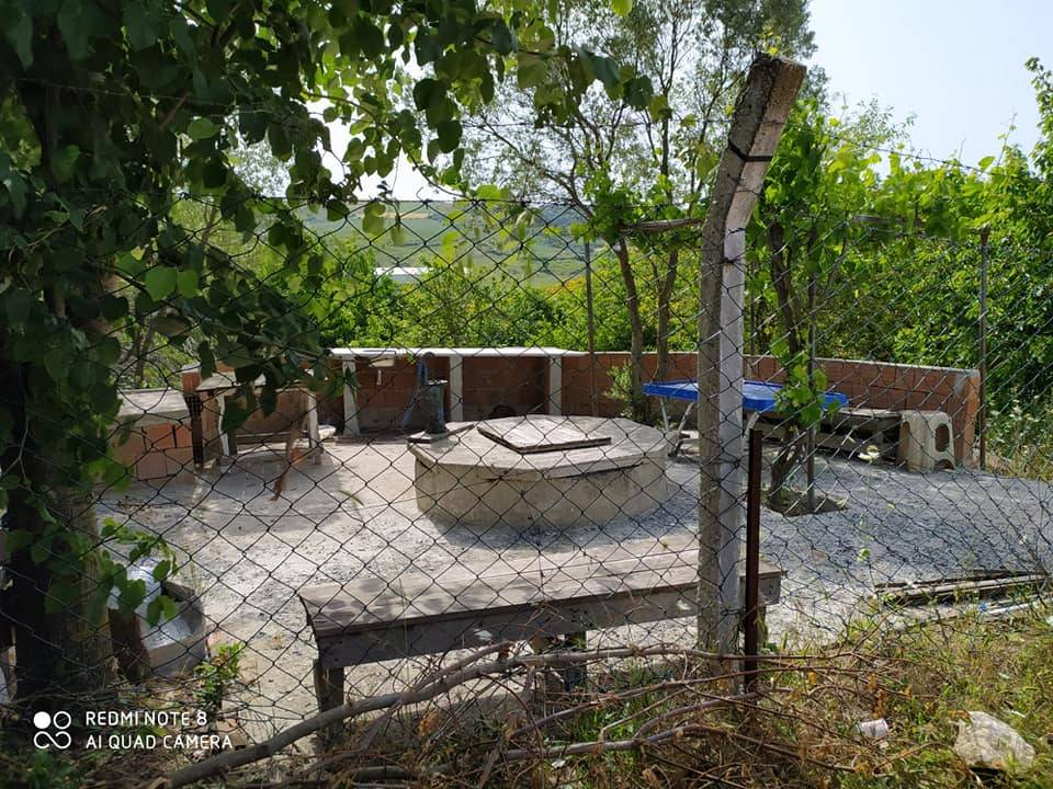 Arnavutköy Boyalık Köyü Resimleri 7