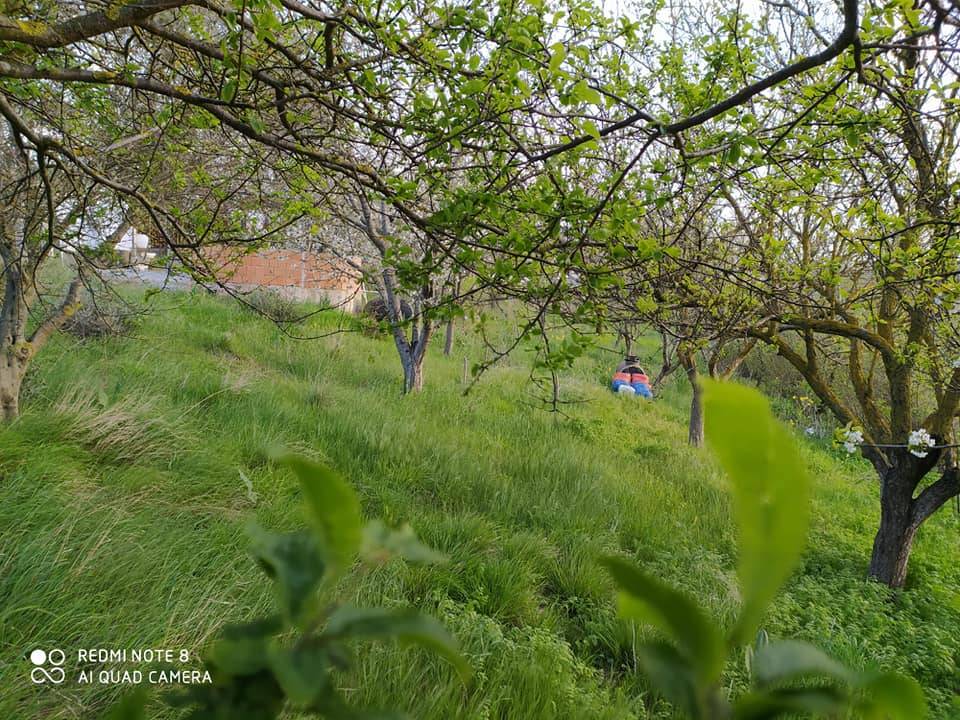 Arnavutköy Boyalık Köyü Resimleri 8