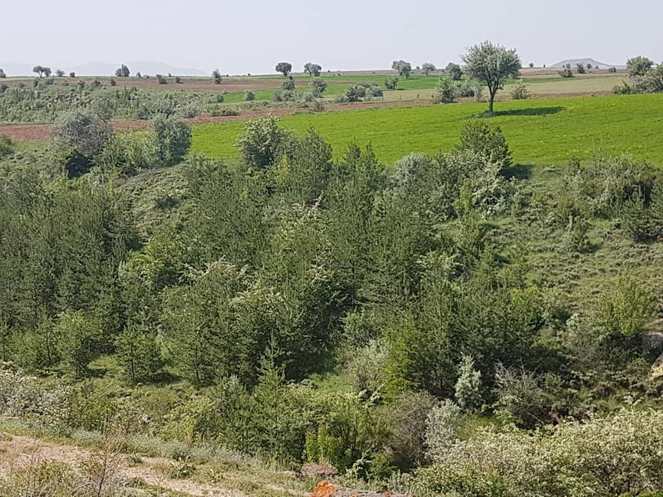 Tomarza Emiruşağı Köyü Resimleri 3