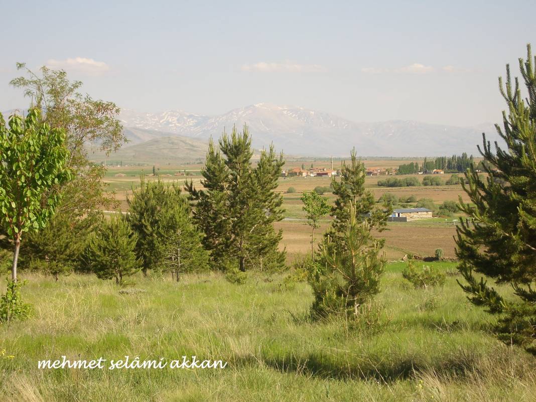 Tomarza Gülveren Köyü Resimleri 1