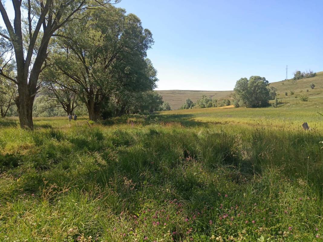 Tomarza Güzelce Köyü Resimleri 2