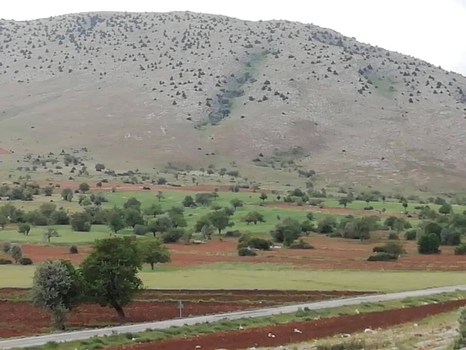 Tomarza Hacıpaşa Köyü Resimleri 2