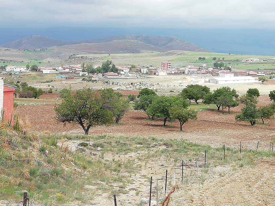 Tomarza Hacıpaşa Köyü Resimleri 3