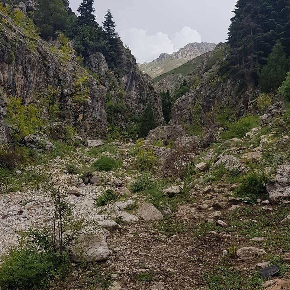 Tomarza Işıklar Köyü Resimleri 5