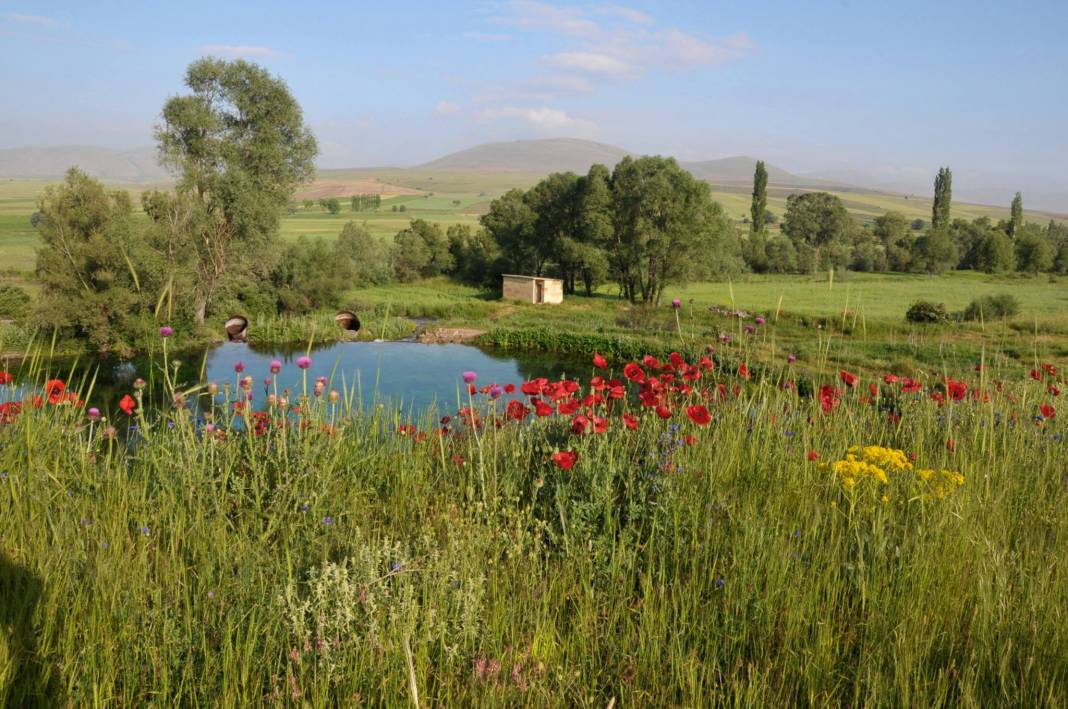 Tomarza İmamkullu Köyü Resimleri 2