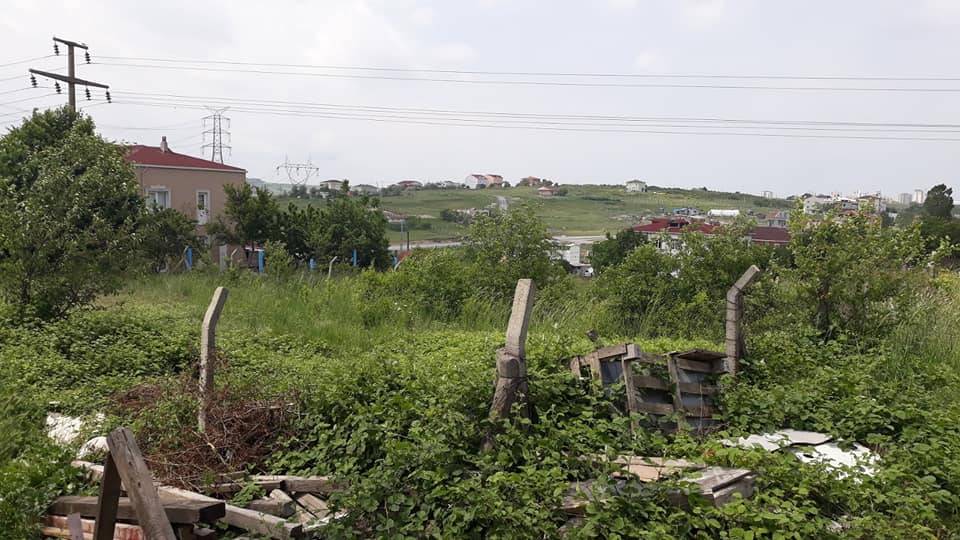 Arnavutköy Hadımköy Köyü Resimleri 3