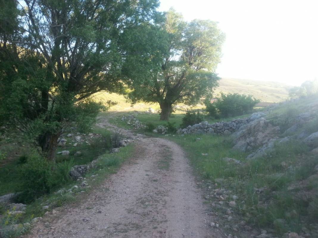 Tomarza Kale Köyü Resimleri 3