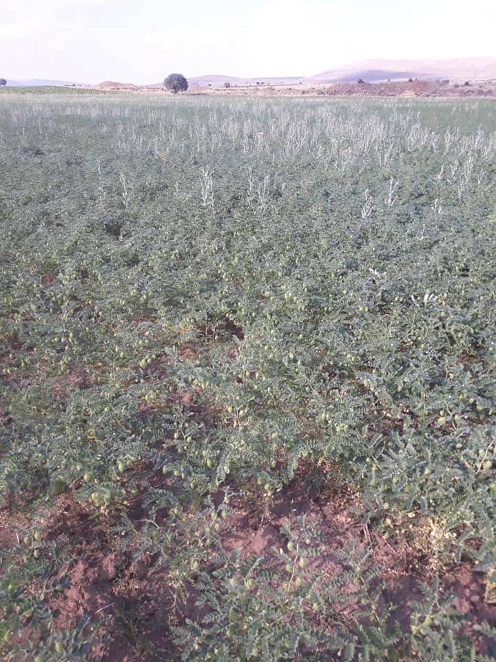 Tomarza Kapukaya Köyü Resimleri 3