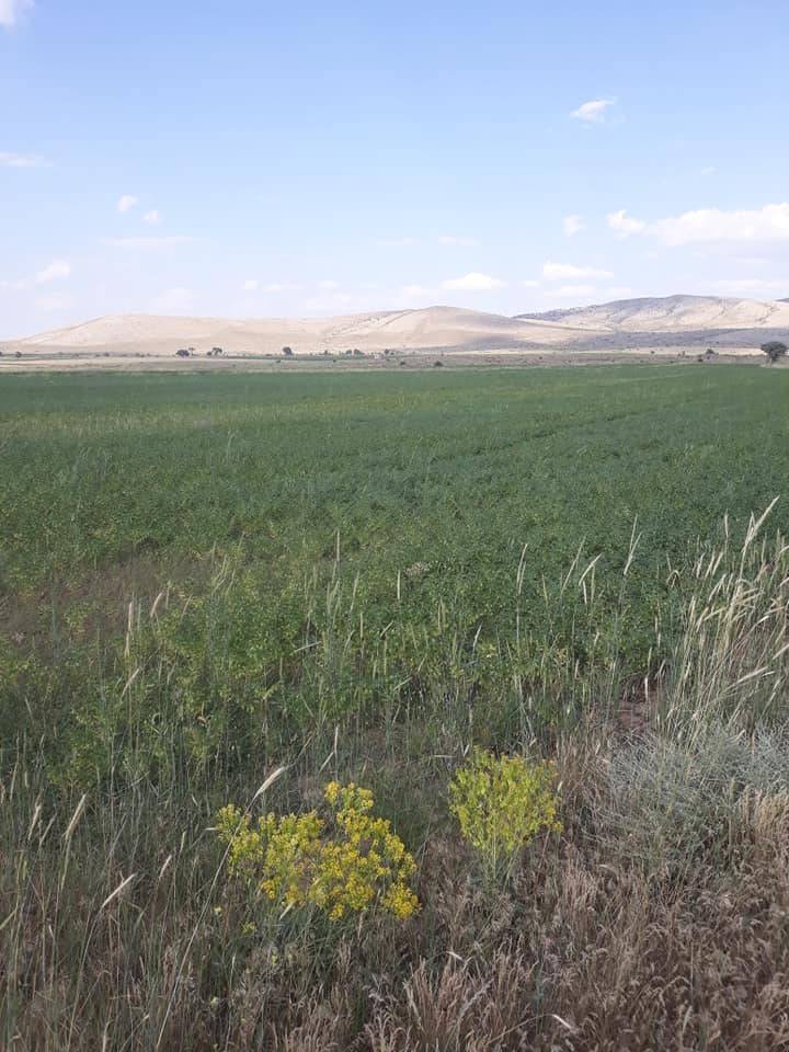 Tomarza Kapukaya Köyü Resimleri 4