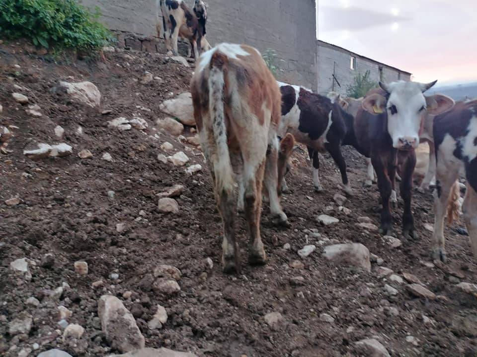 Tomarza Karamuklu Köyü Resimleri 7